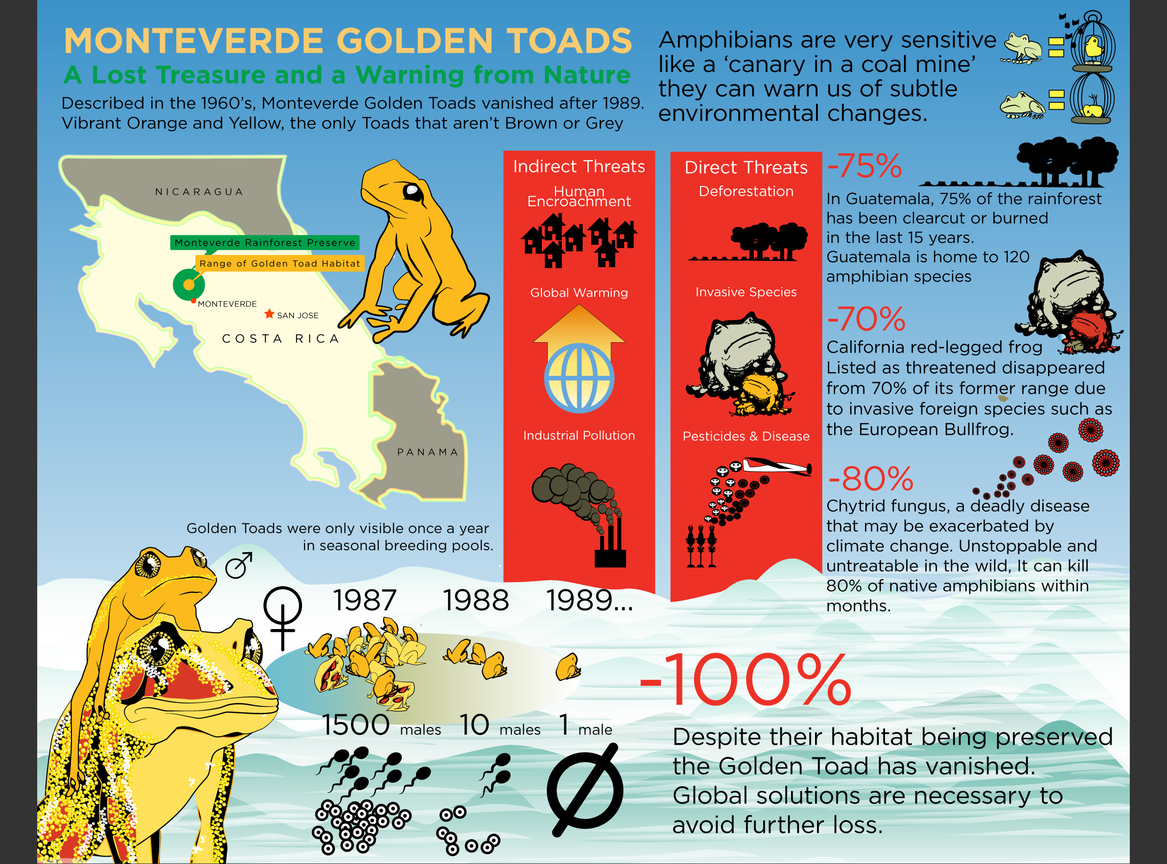 Golden Toads Infographic